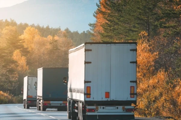 Ordu İstanbul Nakliyat